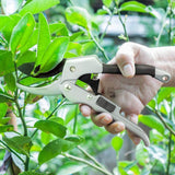 Gardening Scissor SK-5 Pruning Cutter